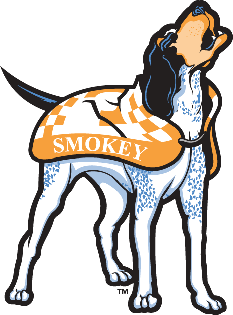 Tennessee Volunteers 2005-Pres Mascot Logo diy iron on heat transfer